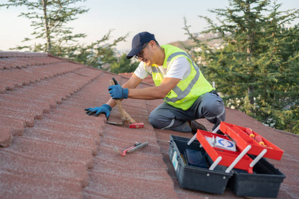 Best Roof Restoration Services  in East Flat Rock, NC